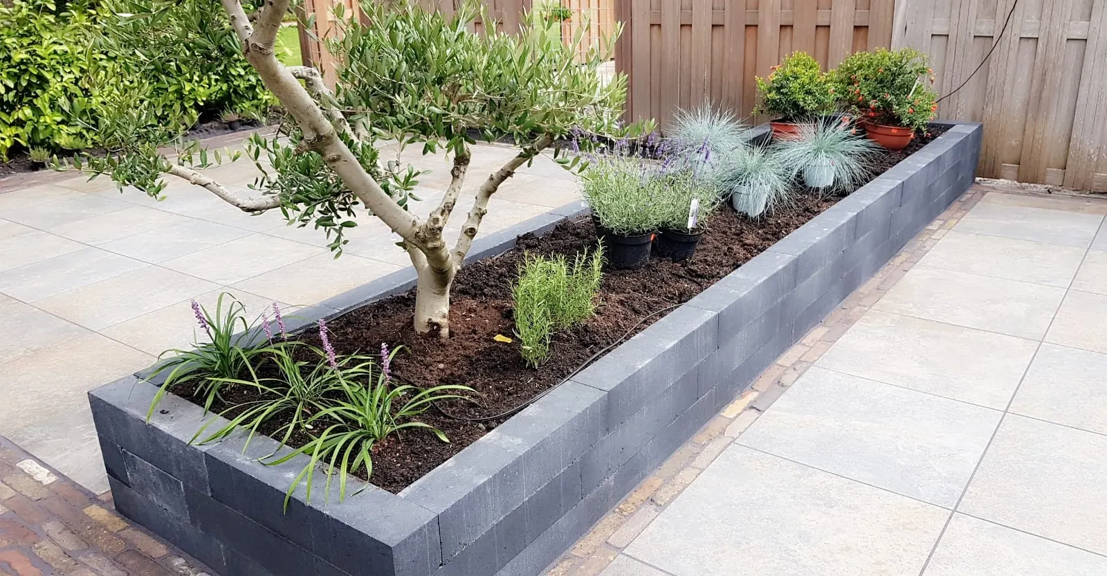 Lange plantenbak van antraciet stapelblokken met olijfboom op een terras