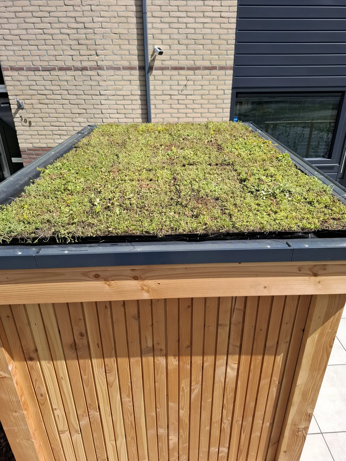 Sedumdak op een houten tuinhuis met verticale gevelbekleding